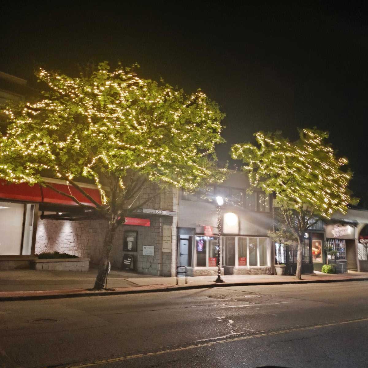 https://adbia.ca/wp-content/uploads/2026/09/tree.jpg